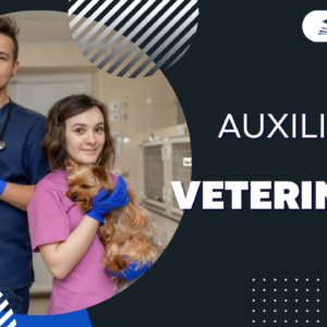 Auxiliar de Veterinária